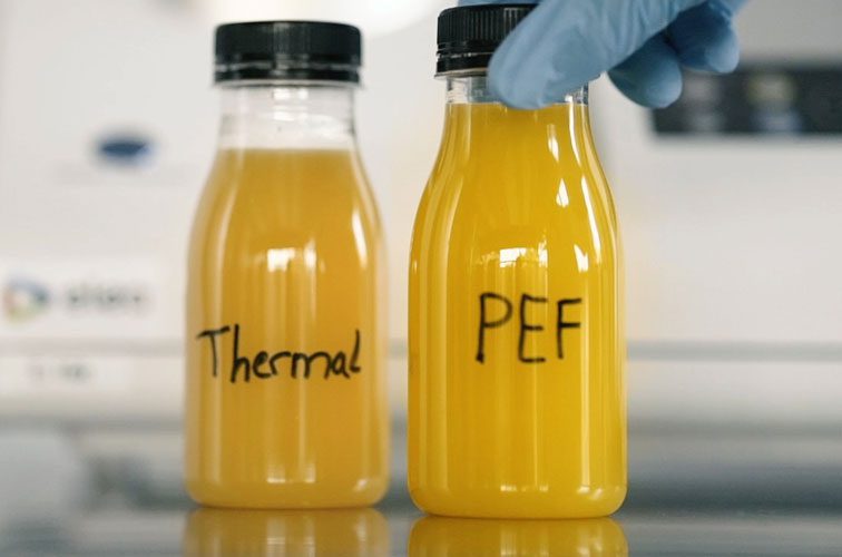 PEF Juice bottles versus thermal juice