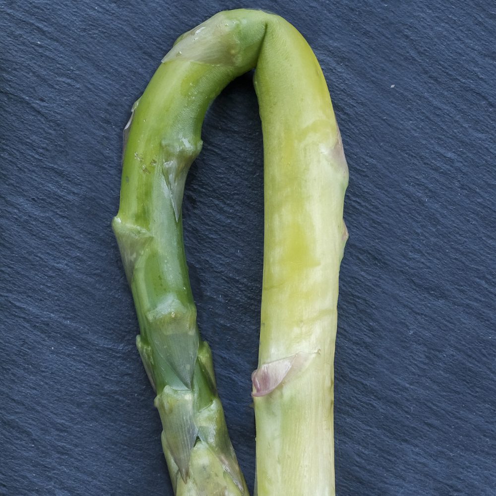 PEF processed asparagus
