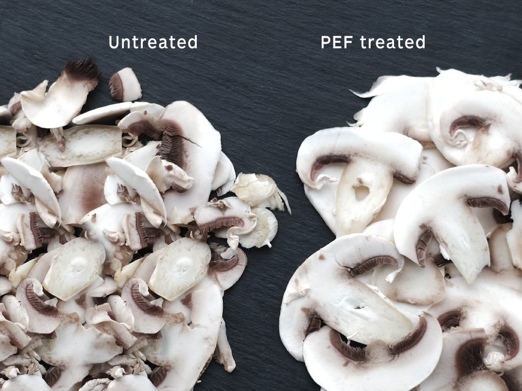 PEF treated mushrooms